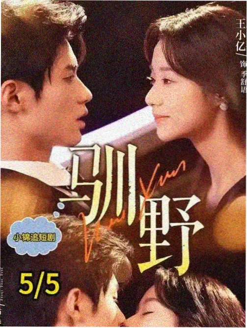 电视剧免费观看 天堂影视
